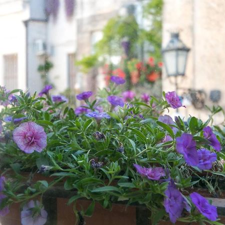 Caminanti Bed and Breakfast Λέτσε Εξωτερικό φωτογραφία
