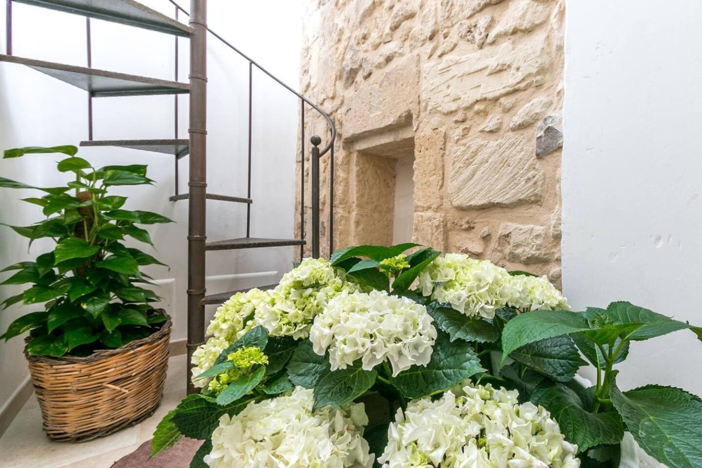Caminanti Bed and Breakfast Λέτσε Εξωτερικό φωτογραφία